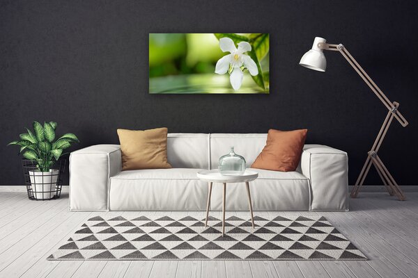 Obraz na plátne Kvet listy 100x50 cm