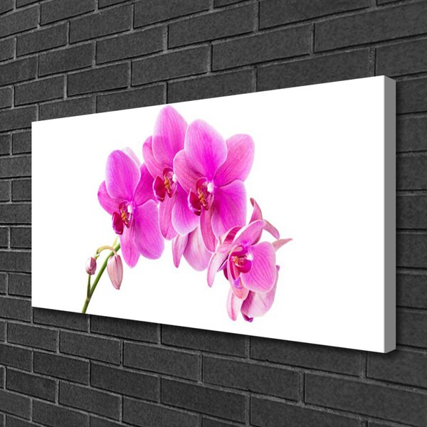 Obraz Canvas Vstavač kvet orchidea 100x50 cm