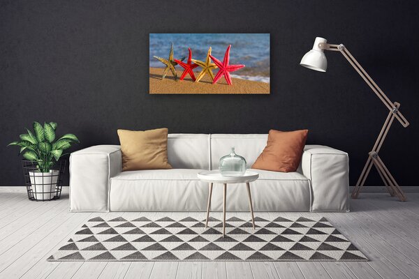 Obraz na plátne Pláž hviezdice umenie 100x50 cm
