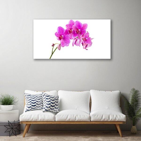 Obraz Canvas Vstavač kvet orchidea 100x50 cm
