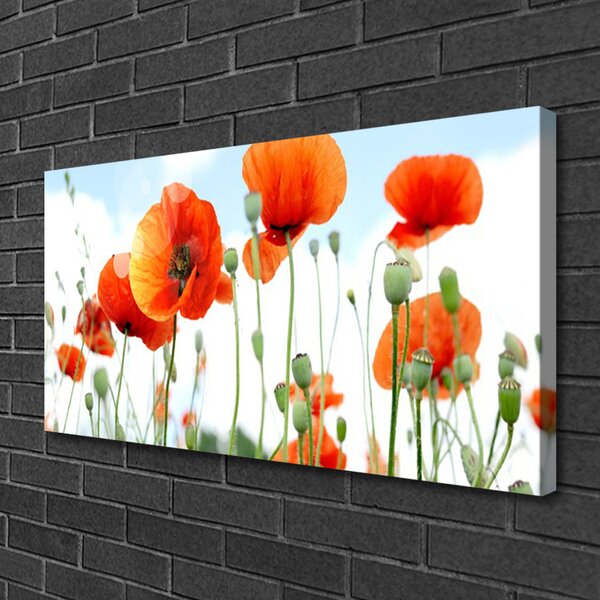 Obraz Canvas Kvety maky lúka pole príroda 100x50 cm
