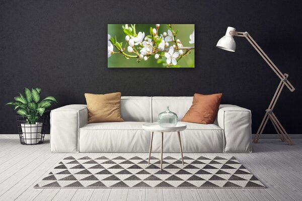 Obraz Canvas Kvety vetvy listy sad 100x50 cm