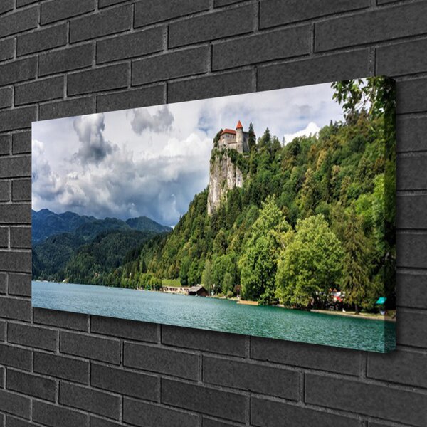 Obraz Canvas Zámok v horách les príroda 100x50 cm