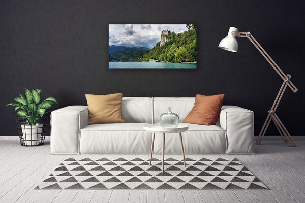 Obraz Canvas Zámok v horách les príroda 100x50 cm