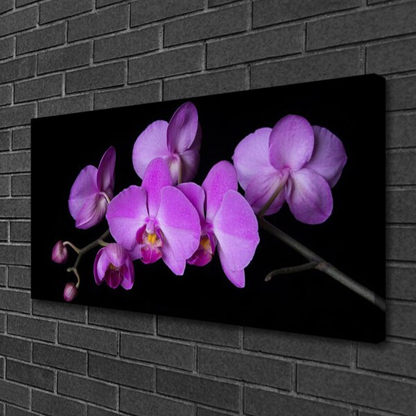 Obraz Canvas Vstavač orchidea kvety 100x50 cm