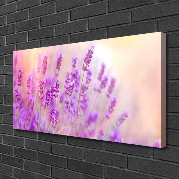 Obraz Canvas Levanduľovej pole slnko kvety 100x50 cm