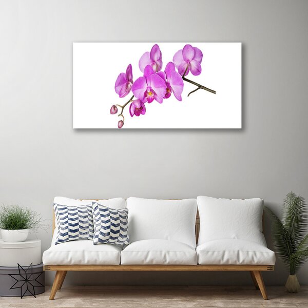 Obraz Canvas Vstavač orchidea kvety 100x50 cm