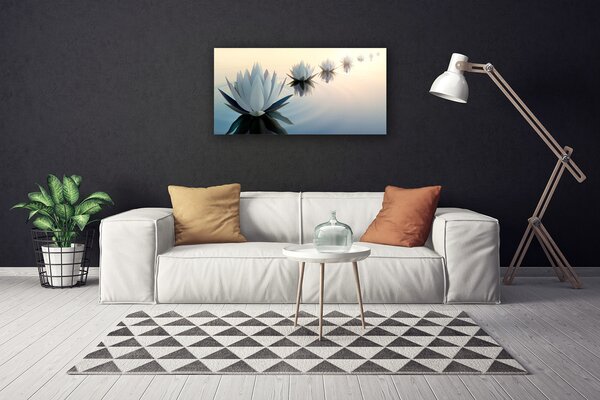 Obraz Canvas Vodné lilie biely lekno 100x50 cm