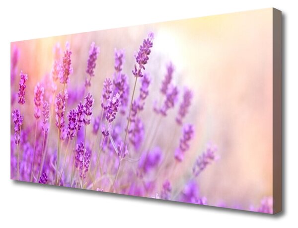 Obraz Canvas Levanduľovej pole slnko kvety 100x50 cm