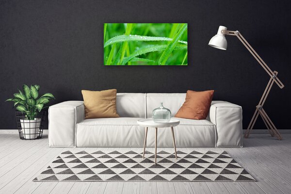 Obraz Canvas Listy kvapky rosy príroda 100x50 cm