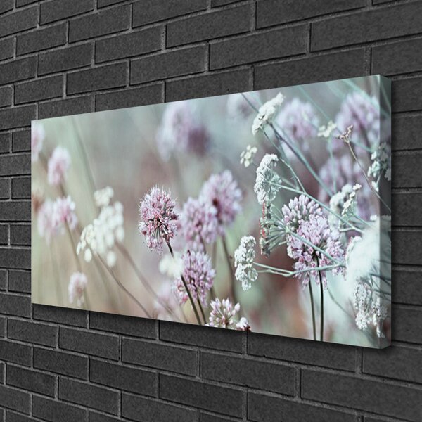 Obraz Canvas Poľné kvety lúka príroda 100x50 cm