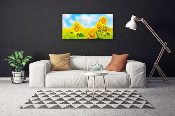 Obraz Canvas Slnečnica kvety príroda 100x50 cm