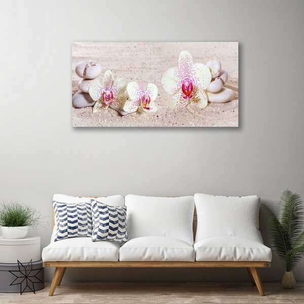 Obraz Canvas Orchidea kamene zen písek 100x50 cm