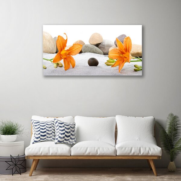 Obraz Canvas Ľalia kamene príroda 100x50 cm