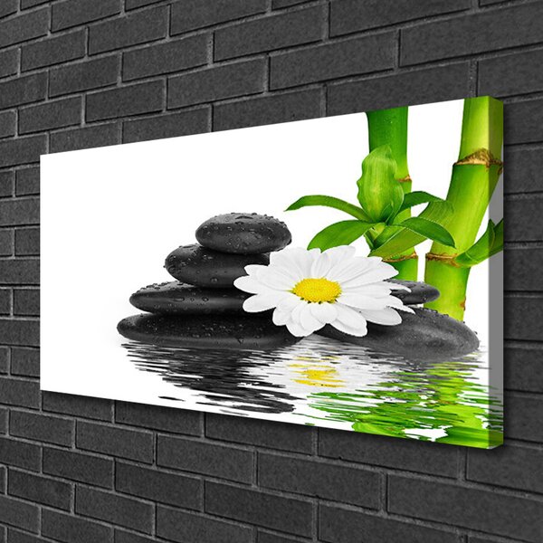 Obraz Canvas Kamene zen bambus výhonky 100x50 cm
