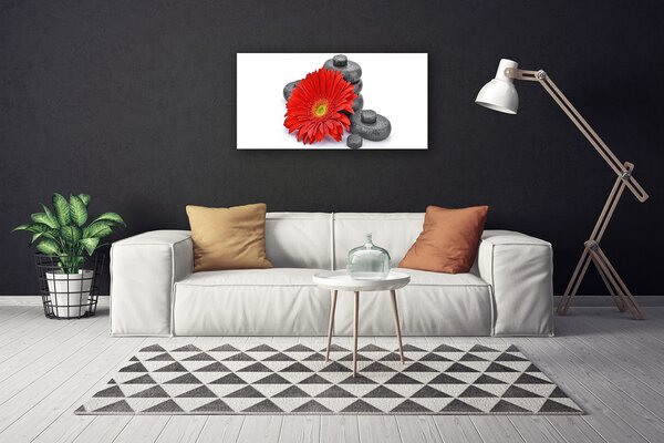 Obraz Canvas Kvety gerbery kamene zen 100x50 cm