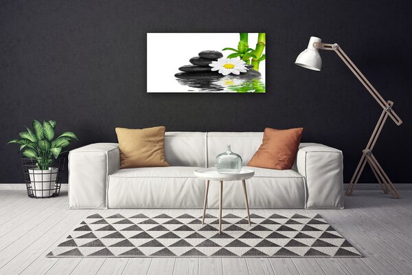 Obraz Canvas Kamene zen bambus výhonky 100x50 cm
