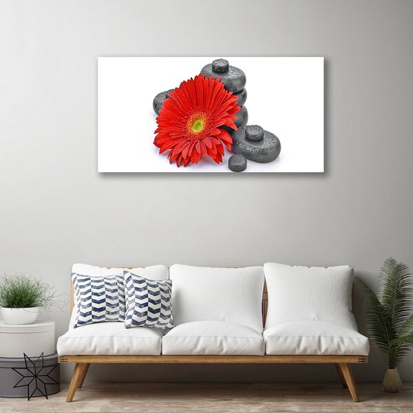 Obraz Canvas Kvety gerbery kamene zen 100x50 cm