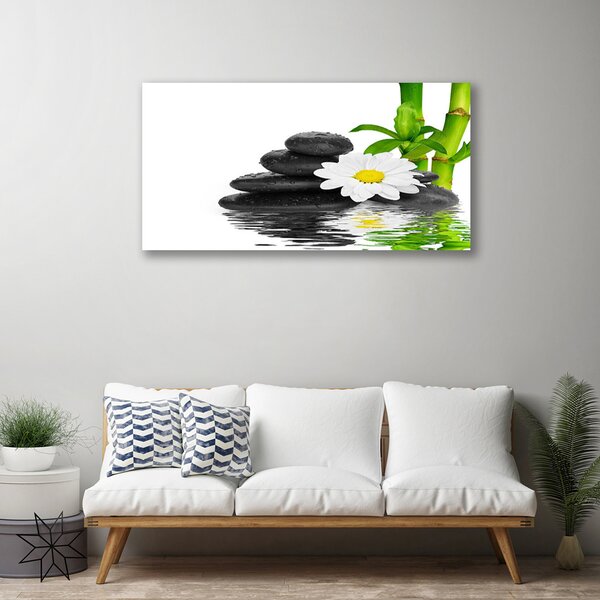 Obraz Canvas Kamene zen bambus výhonky 100x50 cm