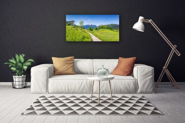 Obraz Canvas Hory lúka chodník údolí 100x50 cm