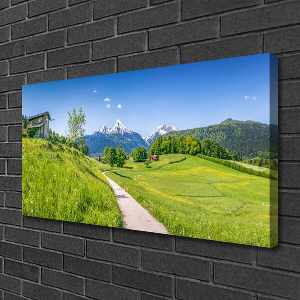 Obraz Canvas Hory lúka chodník údolí 100x50 cm