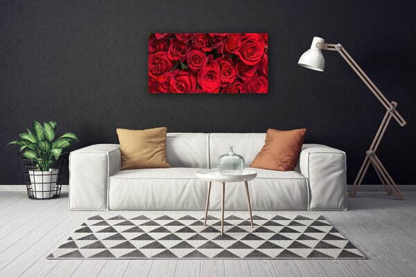 Obraz Canvas Červené ruže kvety príroda 100x50 cm
