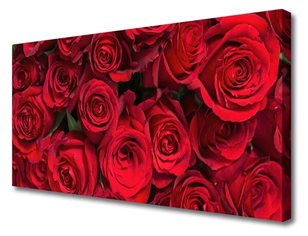 Obraz Canvas Červené ruže kvety príroda 100x50 cm