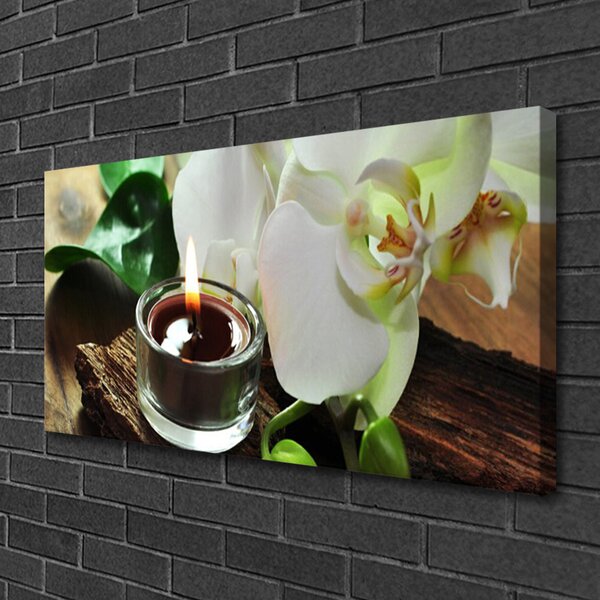 Obraz Canvas Orchidea sviece do kúpeľov 100x50 cm