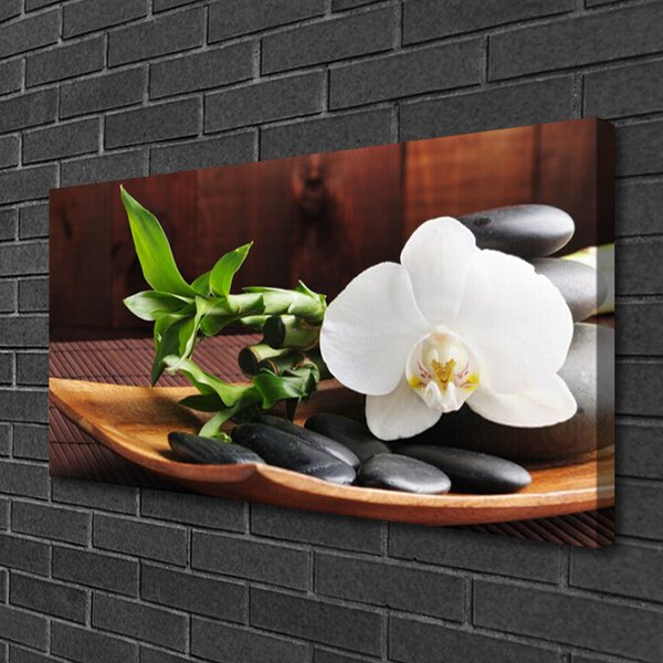 Obraz Canvas Kamene zen biela orchidea 100x50 cm