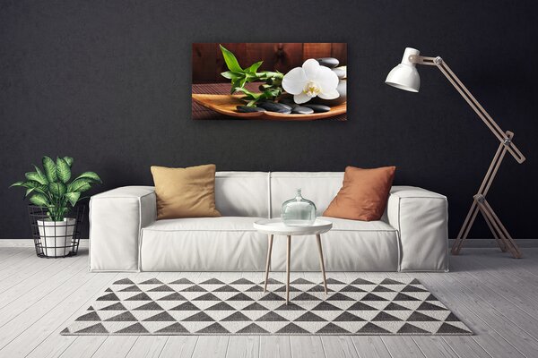 Obraz Canvas Kamene zen biela orchidea 100x50 cm