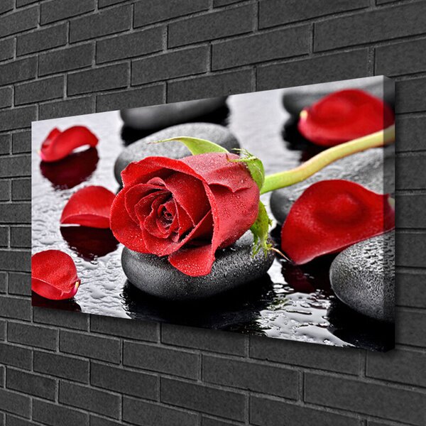 Obraz Canvas Ruže kvet kamene zen 100x50 cm