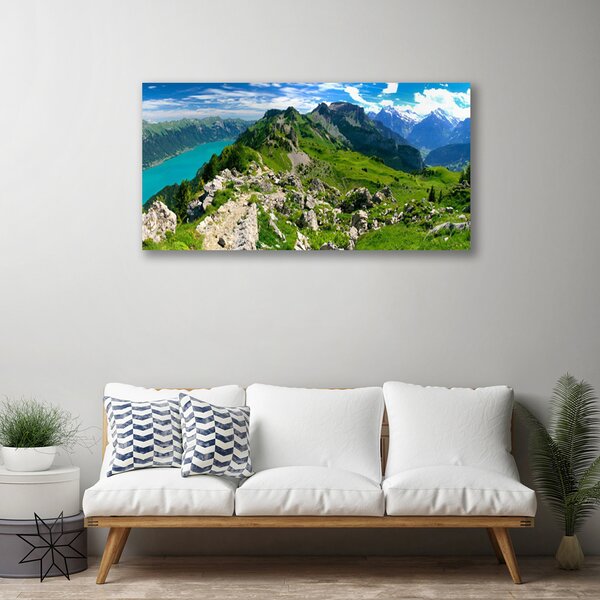 Obraz Canvas Lúka hory príroda príroda 100x50 cm
