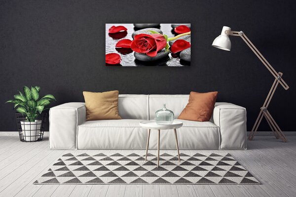 Obraz Canvas Ruže kvet kamene zen 100x50 cm