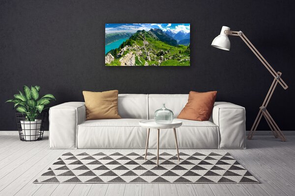 Obraz Canvas Lúka hory príroda príroda 100x50 cm