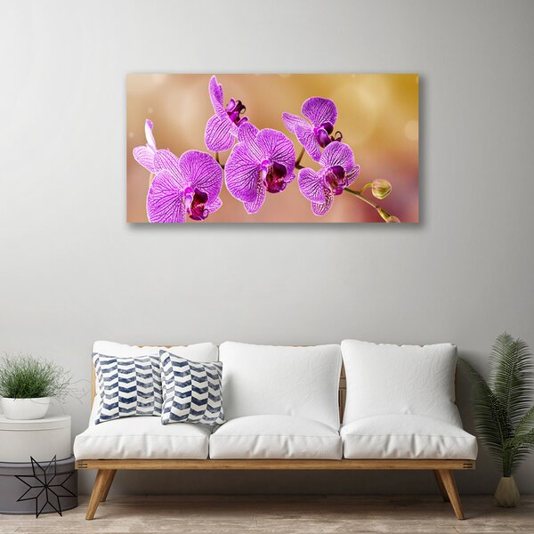 Obraz Canvas Orchidea výhonky kvety príroda 100x50 cm