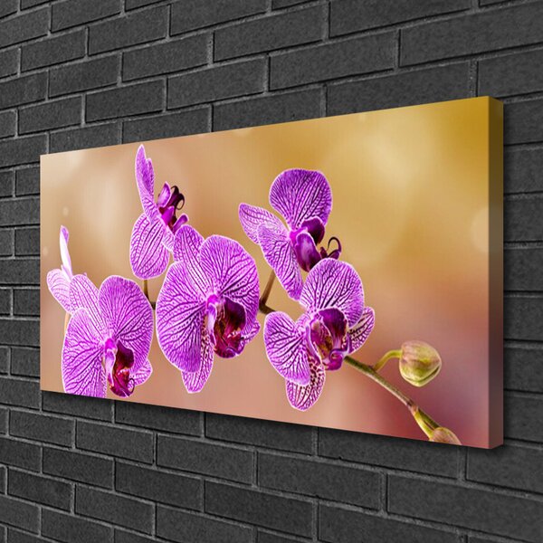 Obraz Canvas Orchidea výhonky kvety príroda 100x50 cm