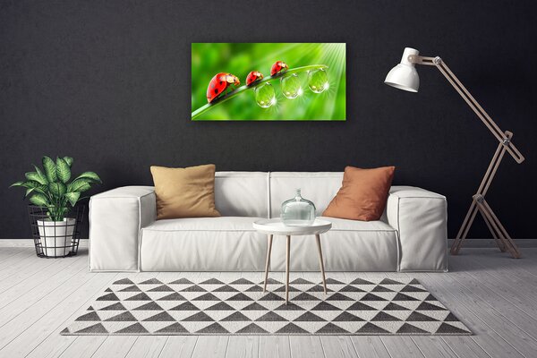 Obraz Canvas Lienky na listu kvapky 100x50 cm