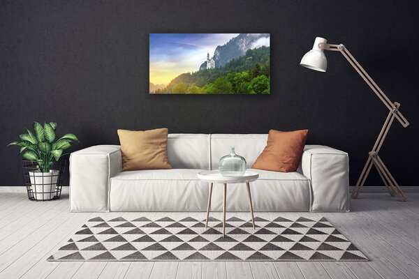 Obraz Canvas Zámok v horách les príroda 100x50 cm