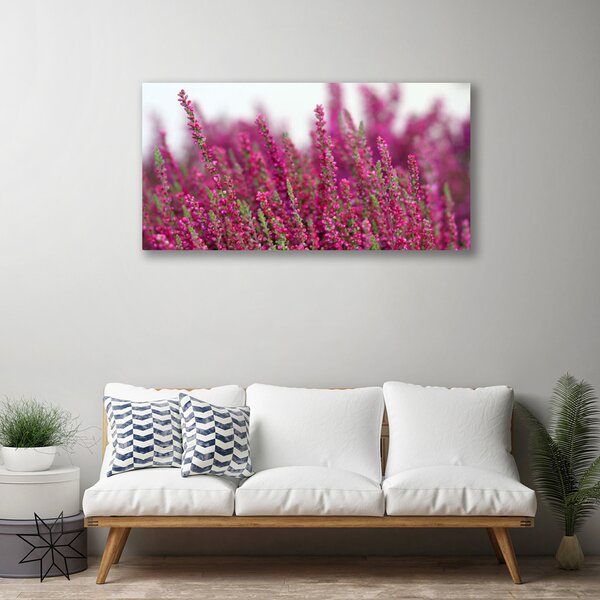 Obraz Canvas Kvety lúka príroda 100x50 cm