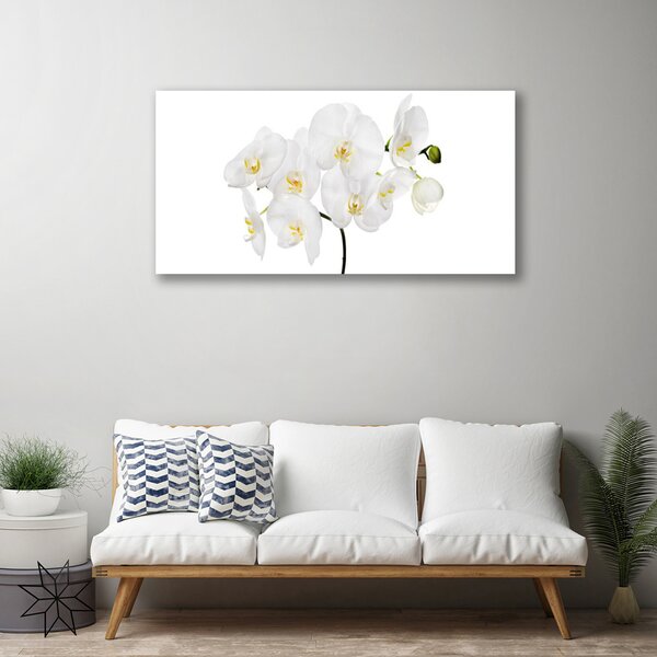 Obraz Canvas Biela orchidea kvety 100x50 cm