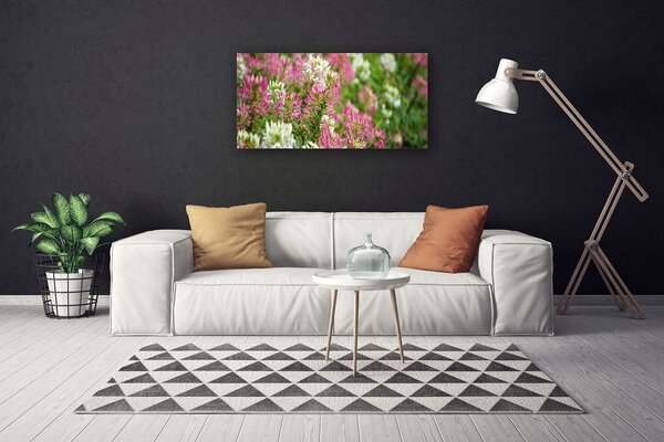 Obraz Canvas Poľné kvety lúka príroda 100x50 cm