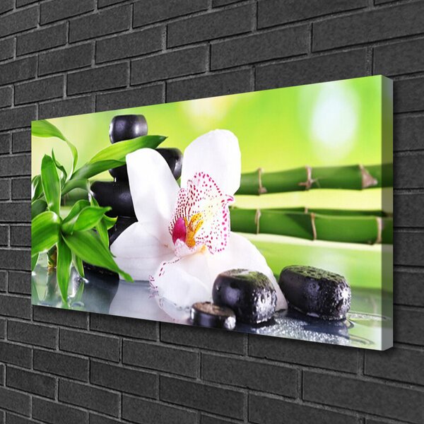 Obraz Canvas Orchidea kamene zen bambus 100x50 cm