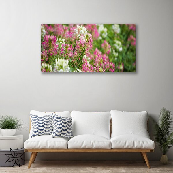 Obraz Canvas Poľné kvety lúka príroda 100x50 cm