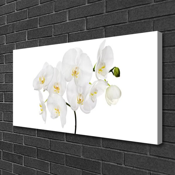 Obraz Canvas Biela orchidea kvety 100x50 cm