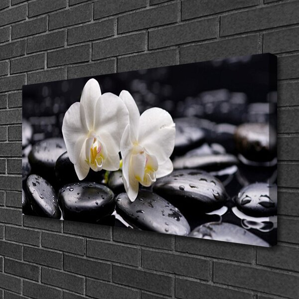 Obraz Canvas Kamene zen biela orchidea 100x50 cm