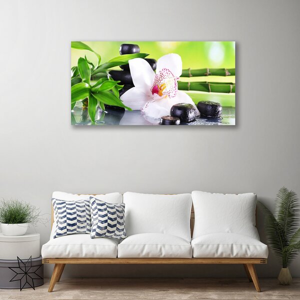 Obraz Canvas Orchidea kamene zen bambus 100x50 cm