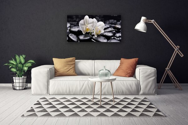 Obraz Canvas Kamene zen biela orchidea 100x50 cm