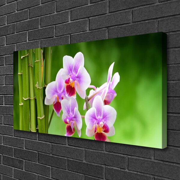 Obraz Canvas Bambus orchidea kvety zen 100x50 cm