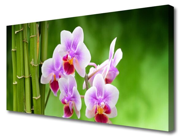 Obraz Canvas Bambus orchidea kvety zen 125x50 cm