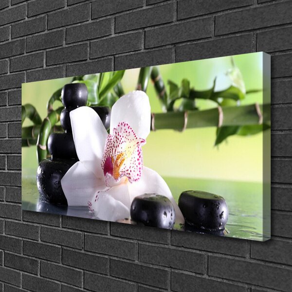 Obraz Canvas Orchidea kamene bambus 100x50 cm